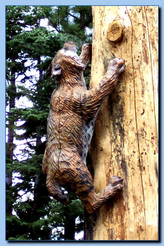 2-03 bobcat-archive